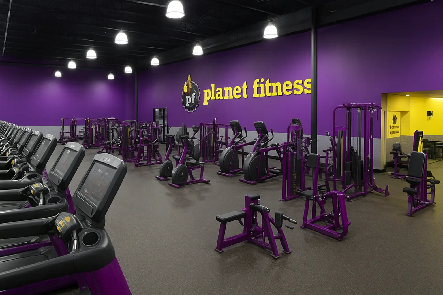 Planet Fitness Franchise gym interior with purple and yellow equipment layout.